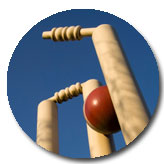 Cricket